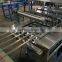 Automatic Cup Washing Filling Sealing Machine