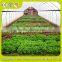 Cheapest High Quality Low Cost Greenhouse Film Wholesale