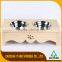 Best Dog Food Water Bowl For Small Dogs