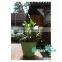 Best selling flower pot with water level indicator,self watering planter,plastic flower pot,nursery pots