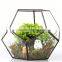 Yiwu direct wholesale,cheap price Cacti Holder Case & Glass Terrarium Diamond