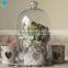 Glass Jar With Print Candle Holders