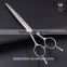 Japanese Professional Hair Cutting Scissors