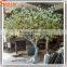 HOT Beautiful wedding tree artificial cherry blossom tree fake cherry blossom trees