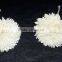 7025-7030 Sola Flower for diffuser