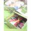 Cardboard File Drawer Boxes,Magazine Organizer