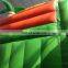 inflatable coconut tree slide with pool, inflatable play ground equipment