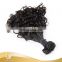 New Arrived Raw Unprocessed Women Hair Brazilian New Funmi Curly Hair
