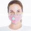 Pink Anti Haze and Fog Valved Reusable Face Mask Cotton