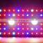 Newest 1000W High Power Series COB LED Grow Lights Double Switch Full Spectrum Grow Lamp for Indoor Plants