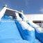 Commercial Inflatable Blue Dolphin Bouncer Slides For Children