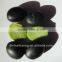 organic black bean(green,yellow)