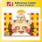 Kids toy Party Paper craft Make Your Own DIY Lion Animal Paper Mask