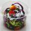 16oz/500ml disposable PET deli container with lid,clear plastic salad container, clear plastic fruit box with lid