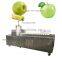 Professional Heavy Duty Amish Johnny Apple Pineapple Quinces Corer Slicer Peeler Machine Equipment
