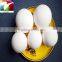 50.0 mm 92% Alumina grinding ball/beads with density 3.65g/cm3