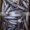 2015 bonito wr seafrozen 100-200g/pc