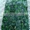 Frozen BQF Spinach Cut