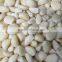 best selling Fresh Frozen Garlic whole dice purss