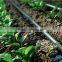 50m/min Inline Drip Irrigation Pipe Making Machine with round drippers