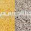Instant rice/nutritional rice production line