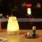 100ML Ultrasonic Humidifier Aroma Diffuser Himidifier With LED Light