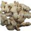 whole dried ginger dry well
