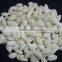 Supply Snow White Pumpkin Seeds with Good Quality