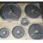 Olympic Cast Iron Weight Plate/Weight Lifting Plate for Gym