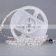 5M/Reel 14.4w 300leds Led Strip 12v Rgb 5050 Ip20