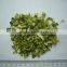 Dehydrated Leek 1-3mm 3*3mm,5*5mm,8*8mm,10*10mm