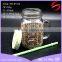 16oz printed logo glass mason jar with handle