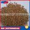 DYAN WALNUT SHELL POWDER