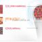 Advanced Detachable Head IPL Photon Light Therapy Facial Beauty Machine NV-114L spa gift set