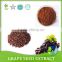 100% natural Proanthocyanidins OPC95% grape seed extract powder