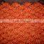 2015 Crop Fresh Yellow Onions With Market Price