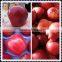 Fresh Red Apple Huaniu