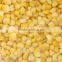 High Quality New Crop Frozen Sweet Corn Kernel