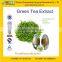 GMP Factory Supply High Quality Green Tea Extract