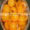 Better Fresh Canned Apricots