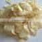 Dehydrated Garlic Slice and Dried Garlic Flake