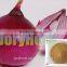 organic onion extract powder