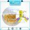 Bulk halal beef skin gelatin powder for chalk production