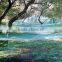 hdpe UV olive nets for sale