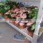 A19 Display Flower Pot Danish Trolley