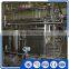 apple fruit juice automatic milk processing line in machinery