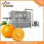 3in1 Fruit Juice Making Machine/Fruit Juice Bottling Machines/Fruit Juice Filling Machine