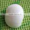 natural decotative semicassis inornata seashell for sale