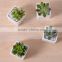Indoor 2 inch small rectangular white ceramic planters for succulents