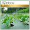 black plastic ground cover
